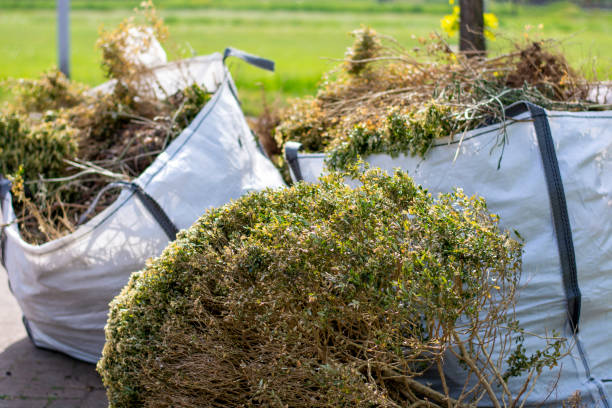 Best Retail Junk Removal  in Willow Oak, FL
